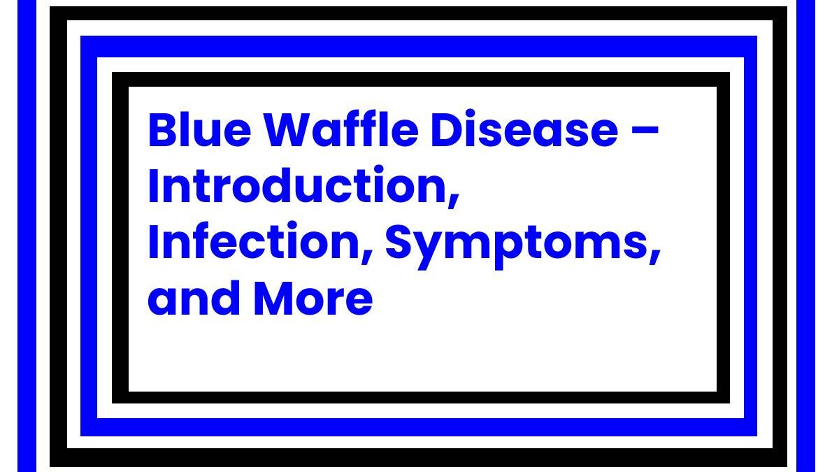 Blue Waffle Disease – Introduction, Infection, Symptoms, and More