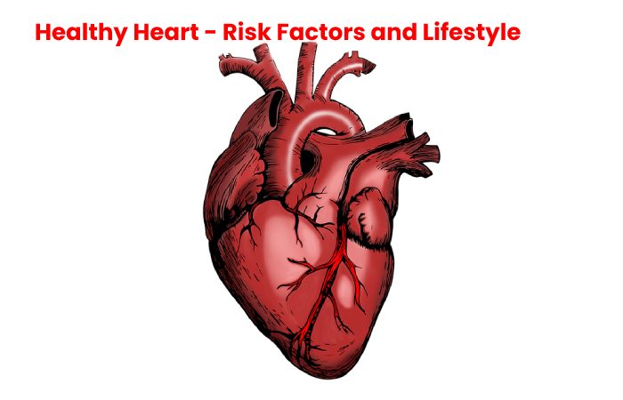 Healthy Heart - Risk Factors and Lifestyle