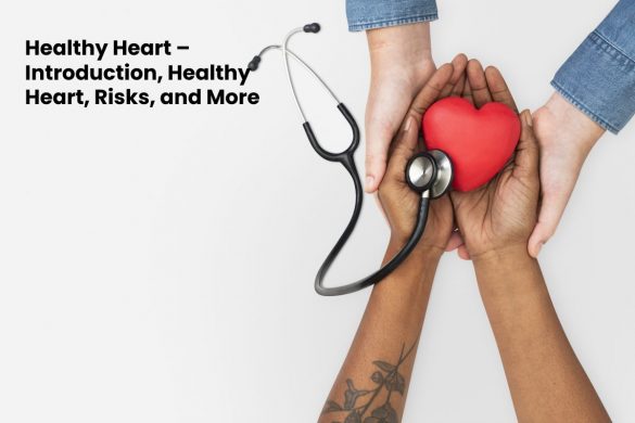Healthy Heart – Introduction, Healthy Heart, Risks, and More