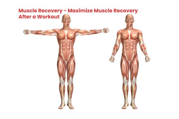 Muscle Recovery - Maximize Muscle Recovery After a Workout