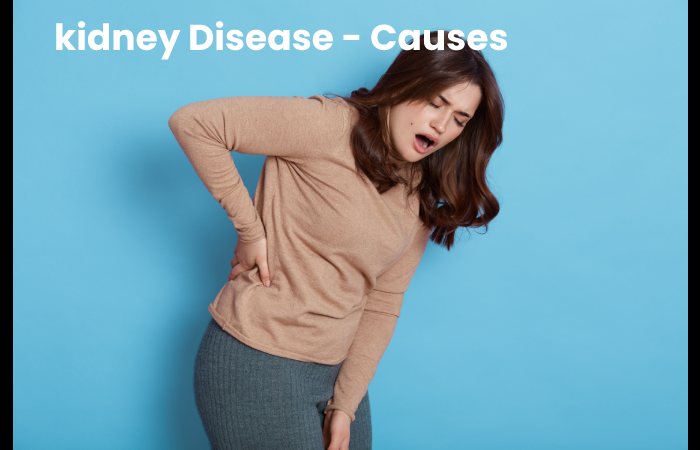 kidney Disease - Causes