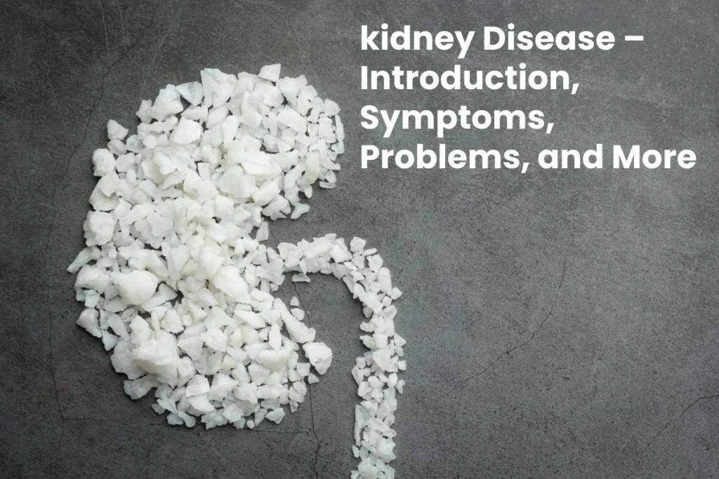 kidney Disease – Introduction, Symptoms, Problems, and More