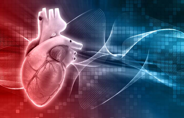 Cardiovascular Write for Us