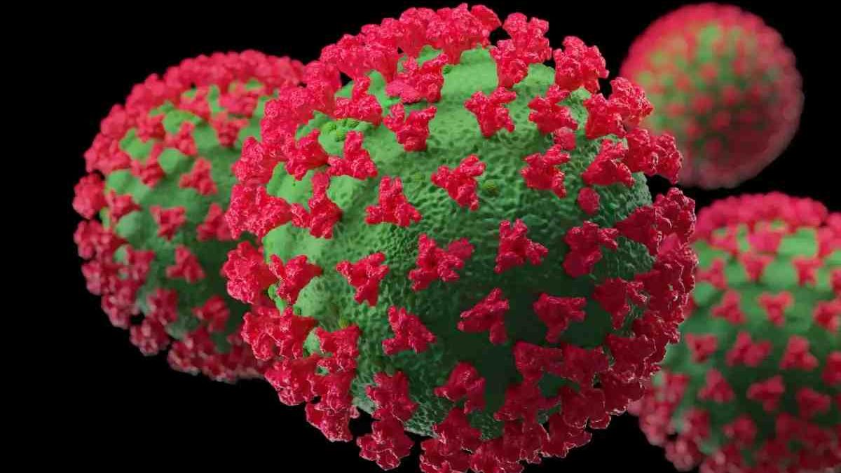 Delhi Health Bulletin – Introduction, Coronavirus Wave, Omicron Variant Cases