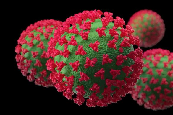 Delhi Health Bulletin – Introduction, Coronavirus Wave, Omicron Variant Cases