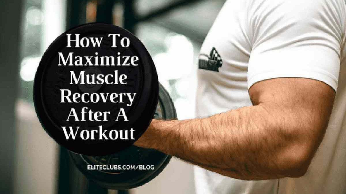 Muscle Recovery – Maximize Muscle Recovery After a Workout