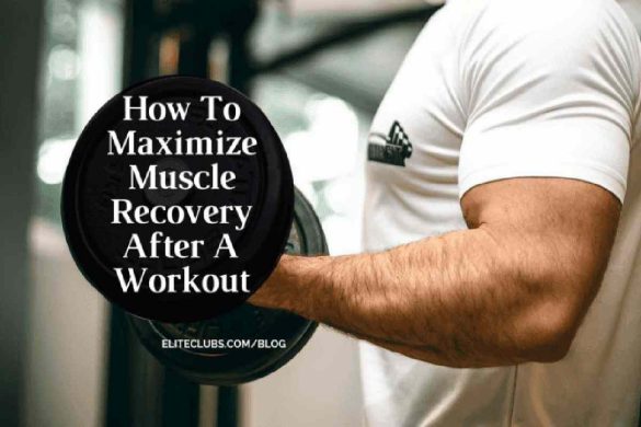 Muscle Recovery - Maximize Muscle Recovery After a Workout
