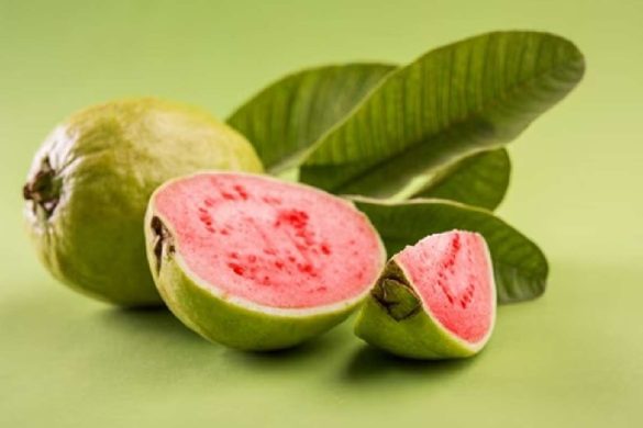wellhealthorganic.com_5-amazing-health-benefits-of-guava