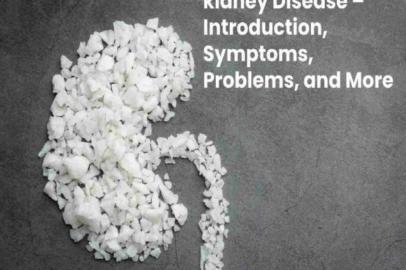 kidney Disease – Introduction, Symptoms, Problems, and More